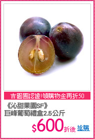 《沁甜果園SF》
巨峰葡萄禮盒2.5公斤
