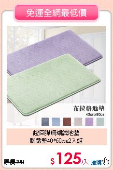 超回彈珊瑚絨地墊<BR>
腳踏墊40*60cm2入組