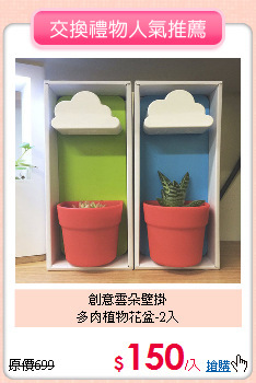 創意雲朵壁掛<BR>
多肉植物花盆-2入