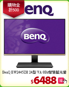 BenQ EW2445ZH 24型
VA 8Bit智慧藍光螢幕