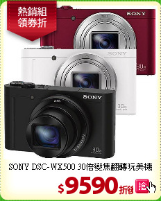 SONY DSC-WX500
30倍變焦翻轉玩美機