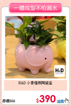 H&D 小象植栽陶瓷盆