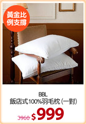 BBL
飯店式100%羽毛枕 (一對)
