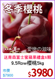 9.5Row櫻桃5kg