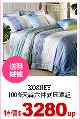 KOSNEY<br>
100%天絲六件式床罩組