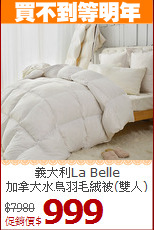義大利La Belle<BR>
加拿大水鳥羽毛絨被(雙人)
