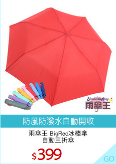雨傘王 BigRed冰棒傘
自動三折傘