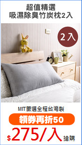 超值精選
吸濕除臭竹炭枕2入