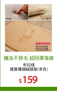 布拉格
優質珊瑚絨踏墊(多色)