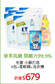 毛寶 小蘇打皂
6包+柔軟精+洗衣槽