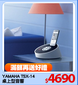 YAMAHA TSX-14
桌上型音響