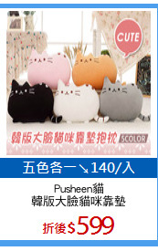 Pusheen貓
韓版大臉貓咪靠墊