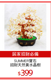 SUMMER寶石
招財天然黃水晶樹