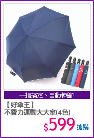 【好傘王】
不費力運動大大傘(4色)