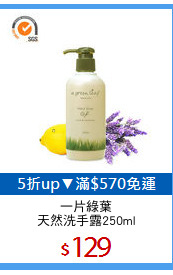 一片綠葉
天然洗手露250ml