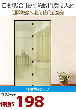 自動吸合 磁性防蚊門簾-2入組