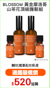 BLOSSOM 黃金摩洛哥
山茶花頂級護髮組