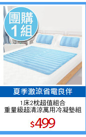 1床2枕超值組合
重量級超清涼萬用冷凝墊組