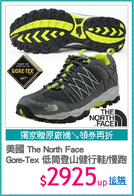 美國 The North Face
Gore-Tex 低筒登山健行鞋/慢跑鞋
