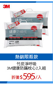 竹炭淨呼吸
3M健康防蹣枕心2入組