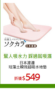 日本渡邊 
珪藻土瞬效超吸水地墊