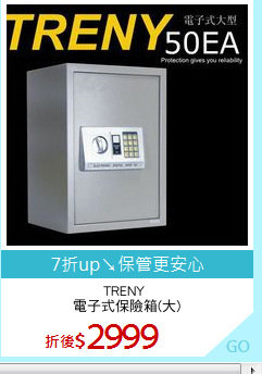 TRENY 
電子式保險箱(大)