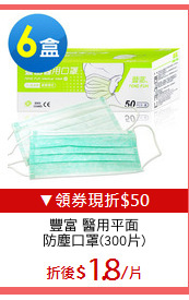 豐富 醫用平面
防塵口罩(300片)