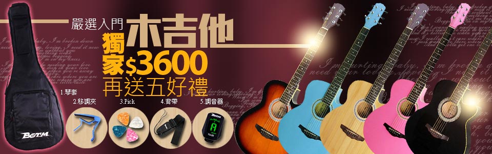 集樂城吉他