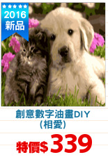 創意數字油畫DIY
(相愛)