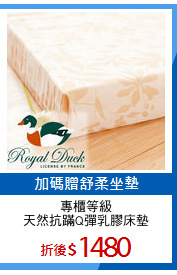 專櫃等級
天然抗蹣Q彈乳膠床墊
