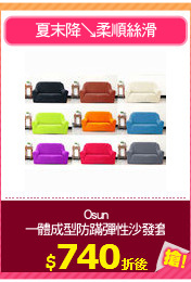 Osun
一體成型防蹣彈性沙發套