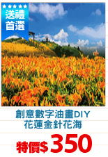 創意數字油畫DIY
花蓮金針花海