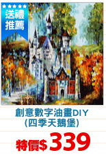 創意數字油畫DIY
(四季天鵝堡)