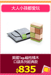 美國Tegu磁性積木
口袋系列經典款