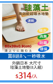外銷日本 大尺寸
珪藻土地墊(8入組)