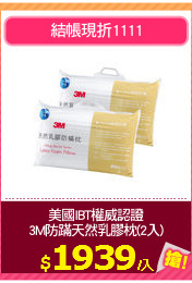 美國IBT權威認證
3M防蹣天然乳膠枕(2入)
