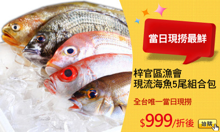 梓官區漁會
現流海魚5尾組合包