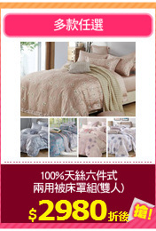 100%天絲六件式
兩用被床罩組(雙人)