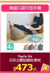 Peachy life
日系立體抬腿枕/靠枕