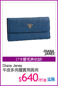 Diana Janes 
牛皮多夾層實用長夾