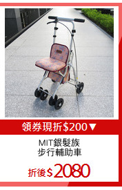 MIT銀髮族
步行輔助車