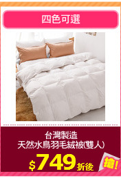 台灣製造
天然水鳥羽毛絨被(雙人)