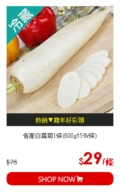 省產白蘿蔔1條(600g±5%/條)