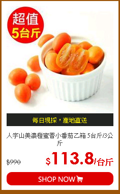 人字山美濃橙蜜香小番茄乙箱 5台斤/3公斤