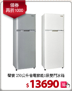 聲寶 250公升省電節能1級雙門冰箱