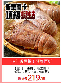 【築地一番鮮】斯里蘭卡
蝦姑12隻(200g-250g/隻)