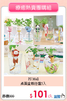 PS Mall<BR>
桌面盆栽任選5入