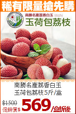 南勝名產荔香白玉<br>玉荷包荔枝5斤/盒