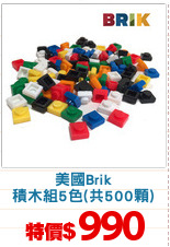 美國Brik
積木組5色(共500顆)