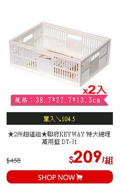 ★2件超值組★聯府KEYWAY 特大總理萬用籃 DT-31